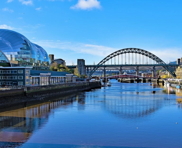 Sumo Marketing Group: Your Strategic Marketing Partner in Newcastle