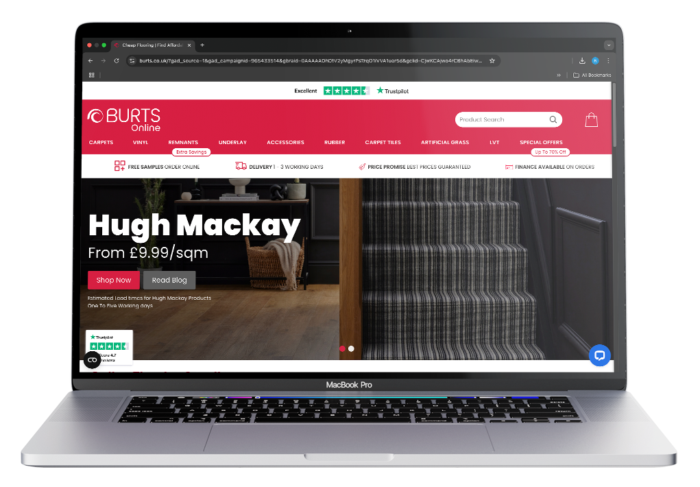 Mockup of Burts Website