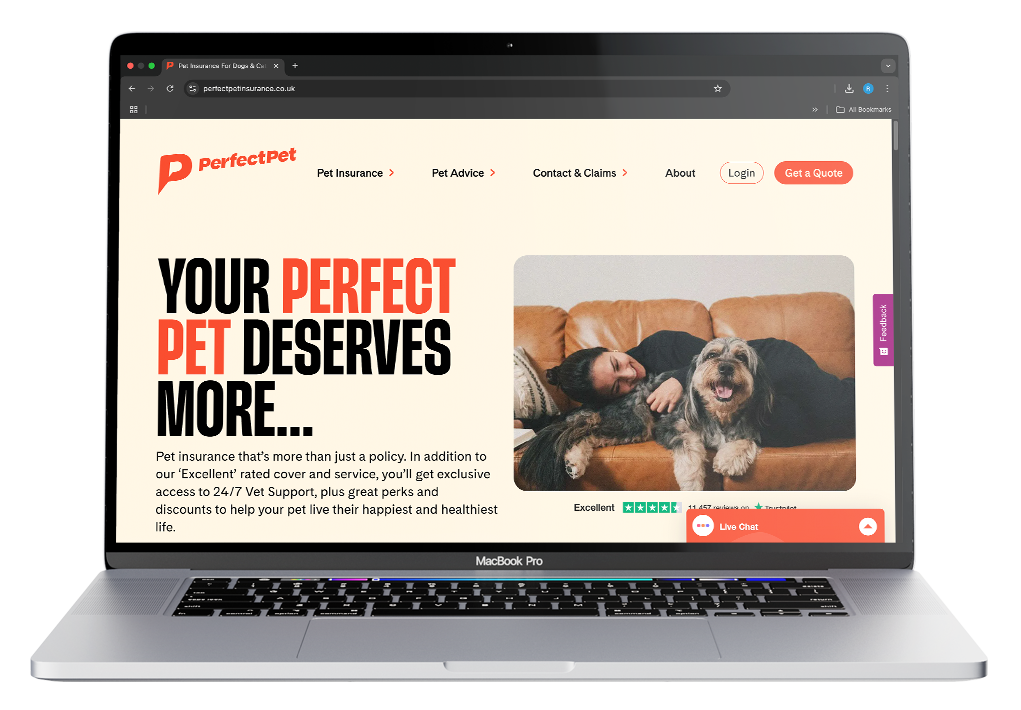 Mockup of Perfect Pet Website
